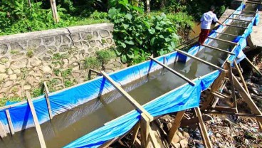 Irigasi Rusak, 800 Hektare Lahan Sawah di Solok Tak Produktif