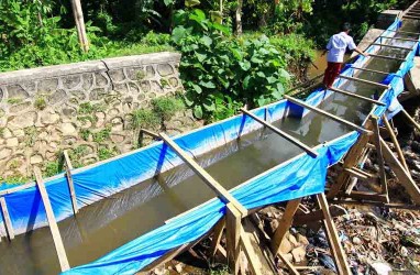 Irigasi Rusak, 800 Hektare Lahan Sawah di Solok Tak Produktif