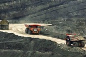 Australia Terapkan DMO Batu Bara, Grup Salim (BUMI) Sumringah