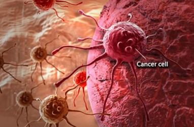 Penyebab Tidak Semua Sel Kanker Mempan Dikemoterapi