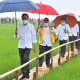 Menteri PUPR Bantah Food Estate Jadi Proyek Gagal: No, No!