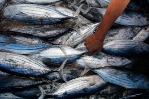 Ekspor Perikanan Indonesia Pada 2023 Ditargetkan Mencapai US$7,66 Miliar