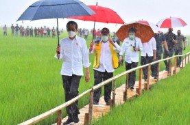 Ketahanan Pangan RI Peringkat 63 Dunia, di Bawah Vietnam…