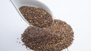 Ini Manfaat Chia Seed, Bahaya dan Cara Mengkonsumsinya
