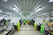 Emiten Favorit Kaesang Kejar Pertumbuhan Produksi pada 2023