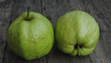 Manfaat Jambu Kristal Bagi Kesehatan, Cocok untuk Menu Diet