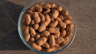 Ini 7 Manfaat Kacang Tanah yang Kaya Nutrisi, Baik bagi Kesehatan
