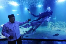 Tinjau Aquarium Indonesia Pangandaran, Uu Ruzhanul:…