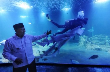Tinjau Aquarium Indonesia Pangandaran, Uu Ruzhanul: Sangat Indah