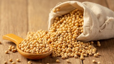 Kandungan dan Manfaat Kacang Kedelai bagi kesehatan