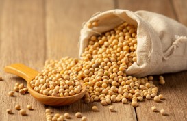 Kandungan dan Manfaat Kacang Kedelai bagi kesehatan