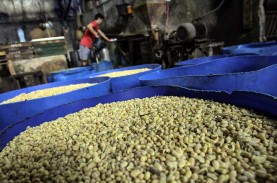 Bapanas Sebut Stok Cadangan Kedelai hingga Jagung…