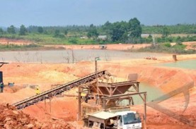 Jokowi Full Senyum, Larangan Ekspor Bauksit Belum…