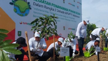Momen Dukung APUPPT, BRKSyariah Bagikan 2.000 Bibit Pohon Buah di Kampar