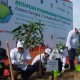 Momen Dukung APUPPT, BRKSyariah Bagikan 2.000 Bibit Pohon Buah di Kampar