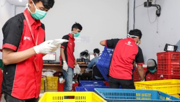 SiCepat Ekspres Percepat Penggunaan Kendaraan Listrik untuk Operasional