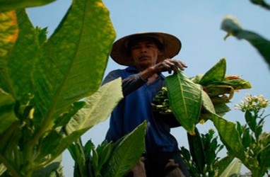 Kawasan Industri Hasil Tembakau Bakal Dibangun di Jatim