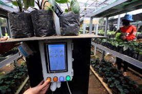 Lega Peserta Petani Milenial Usai Pemprov Jabar Responsif…