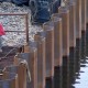 Kendalikan Banjir Sulsel, Sungai Maros Akan Dipagar Sepanjang 2,2 Km