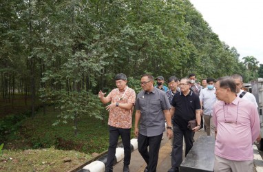 Hutan Kota Pakansari di Kabupaten Bogor Akhirnya Selesai Dikerjakan