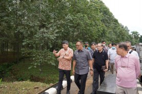 Hutan Kota Pakansari di Kabupaten Bogor Akhirnya Selesai…