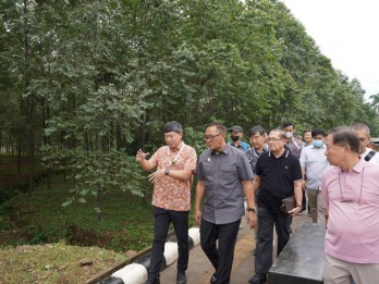 Hutan Kota Pakansari di Kabupaten Bogor Akhirnya Selesai Dikerjakan