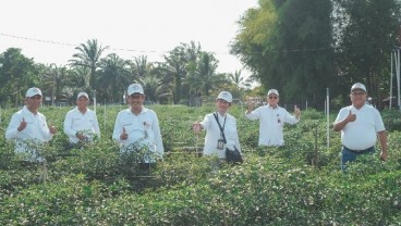 Kendalikan Inflasi, TPID Riau Kembangkan Tanaman Cabai dengan Dukungan Teknologi Digital