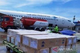 Ekspor Perikanan Biak ke Jepang Terdorong Penerbangan…