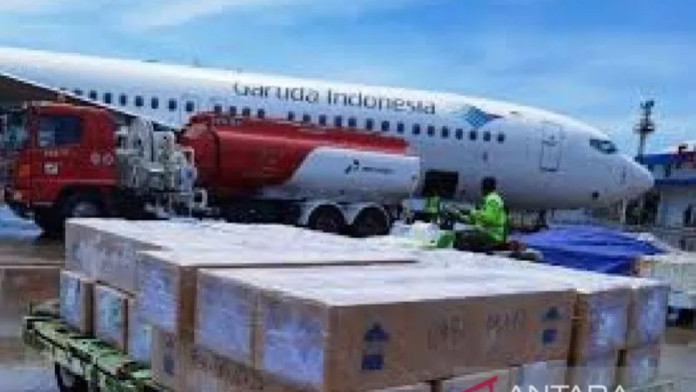 Ekspor Perikanan Biak ke Jepang Terdorong Penerbangan Langsung
