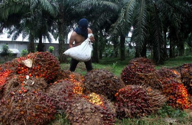 Airlangga Optimistis Harga Komoditas Kerek Pertumbuhan RI 2023