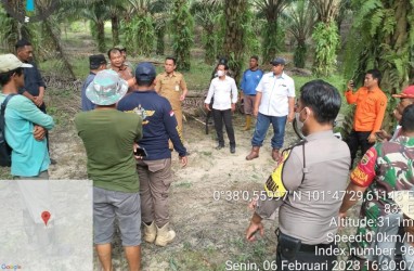 PTPN V Sigap Lindungi Karyawan dan Masyarakat Usai Kemunculan Harimau Sumatra