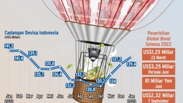 CADANGAN DEVISA : Fondasi Kuat Penopang Rupiah