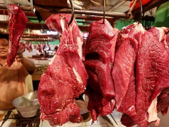 RI Impor 200.000 Ton Daging Sapi dan Kerbau Jelang Puasa dan Lebaran