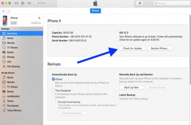 Begini Cara Update iOS dengan Mudah, Bisa Lewat iTunes