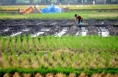 Ekonomi Sulsel Diproyeksi Bisa Tumbuh Hingga 5,4 persen pada 2023