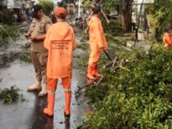 Update: 14 Pohon Tumbang Akibat Hujan Disertai Angin Guyur Jakarta