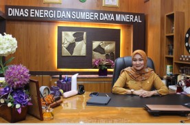 Kadis ESDM Riau Harapkan Keberhasilan dari Eksplorasi…