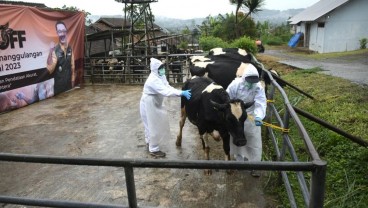 Masih Ada Ternak dari Jateng dan Jatim Masuk Jabar Tanpa Surat Sehat