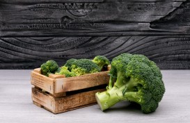 Ini 9 Manfaat Brokoli bagi Tubuh, Kaya Nutrisi dan Rasanya Enak