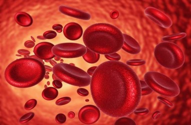 Cara Meningkatkan Jumlah Hemoglobin di Darah