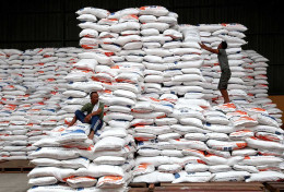 Hambat Bulog Serap Beras dari Petani, CIPS Minta Pemerintah Evaluasi Besaran HPP
