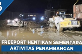 Freeport Indonesia Lakukan Pembersihan dan Pemulihan…