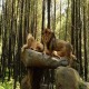 Viral Mobil Ditabrak Singa, Ini Tanggapan Taman Safari