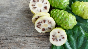 Kenali Manfaat Mengkudu Bagi Kesehatan hingga Cara Mengolahnya