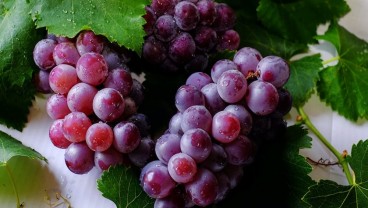 Ini 6 Manfaat Buah Anggur untuk Kesehatan dan Efek Sampingnya