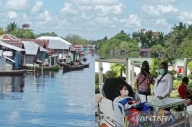 Tiga Kali Ditarik Buaya ke Sungai, Perempuan Ini Selamat