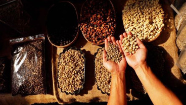 Pengembangan Kopi Kaltim Terkendala Modal