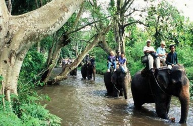 Thailand Wajibkan Turis Bayar Biaya Masuk Sebesar Rp132.000, Berlaku Juni 2023