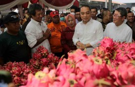 Pasar Induk Sidotopo Jadi Percontohan Distribusi Hortikultura Antar Daerah