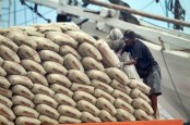 Pasca Caplok SMBR, Distribusi Semen Indonesia (SMGR) Kian Mumpuni